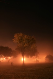 resized_IMG_1268.jpg